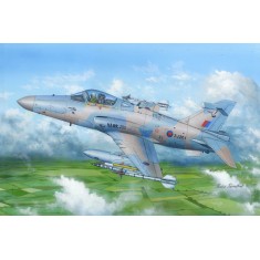 1/48 BAe Hawk Mk.200/208/209