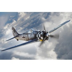 1/48 Focke-Wulf Fw 190A-6 Fighter