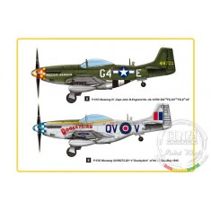 1/48 P-51D Mustang IV