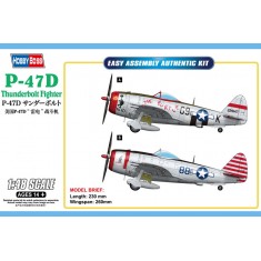 1/48 Republic P-47D Thunderbolt Fighter