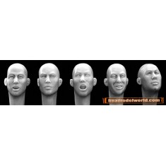 1/35 5x Different East Asian Bald Heads with Varying Expressions