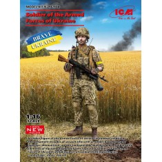 1/16 Soldier of the Armed Forces of Ukraine