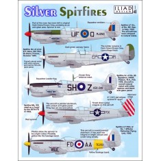 Decals for 1/48 Silver Spitfires