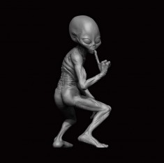 1/24 Grey Alien #02 ION Model A24-002