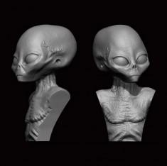5cm Grey Alien (1 bust) ION Model AX-001