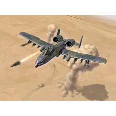 1/72 Fairchild A-10A/C Thunderbolt II [Gulf War 25th Anniversary]