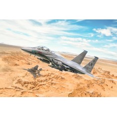 1/48 McDonnell Douglas F-15E Strike Eagle