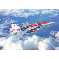 1/48 US Navy F/A-18F Super Hornet Special Colours