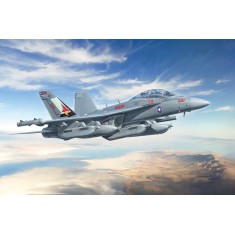 1/48 Boeing EA-18G Growler w/Australian Decals
