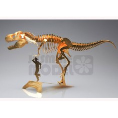 Photo-etched Skeleton Series Dinosaur: Tyrannosaurus (length: 145mm, height: 57mm)