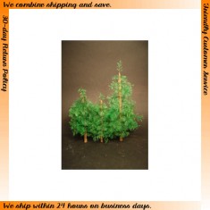 1/48 Pine Trees Set (3pcs)