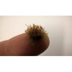 1/87 - 1/35 Orange Flowering Tufts