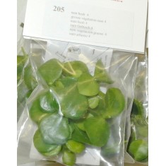 Nam Bush set IV (Plastic) for 1/35, 1/48 scales (24mm - 120mm)