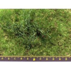 Nam Bush set VII (Plastic) for 1/35, 1/48 scales (24mm - 120mm)
