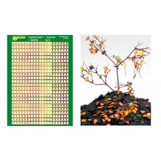 1/24, 1/35, 1/48 Typical Leaf 1 - Autumn (Coloured Paper Plant kit)
