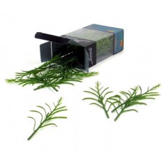 1/35, 1/32 Corn Plants - Green (50pcs)