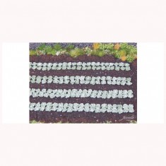 1/87 (HO scale) Green Cabbage Plants (440pcs)