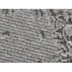 1/87 Granite Wall Stones (500pcs)