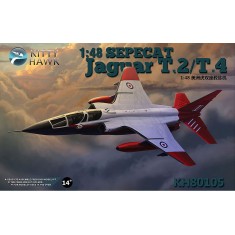 1/48 Sepecat Jaguar T.2 / T.4