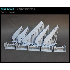 1/32 F-5 Tiger II Pylons for Kitty Hawk Kit