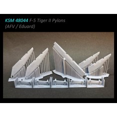 1/48 F-5 Tiger II Pylons for AFV Club/Eduard Kits