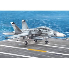 1/72 McDonnell Douglas F-18B Hornet