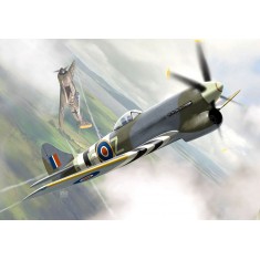 1/72 Tempest Mk.V ''At War''