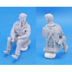 1/35 WWII US Navy Pilot II (Engaged, 2 Heads) 1 figure
