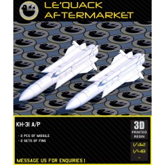1/48 Kh-31A/P Air-to-Surface Missile