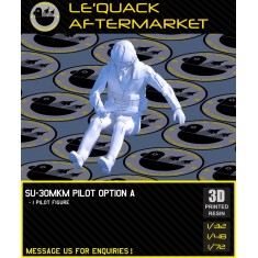 1/32 Su-30MKM Pilot (1 figure) Pose #A