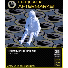 1/48 Su-30MKM Pilot (1 figure) Pose #C1