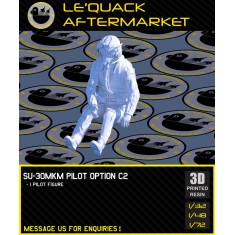1/48 Su-30MKM Pilot (1 figure) Pose #C2