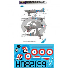 1/48 Dewoitine D.500 over France 2 Decal Options for AMG, Hi-tech kit