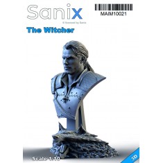 1/10 The Witcher Bust