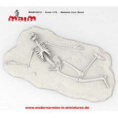 1/16 Skeleton with Base