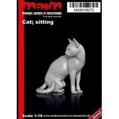 1/16 Cat Sitting
