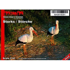 1/16 Storks