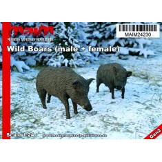1/24 Wild Boars (male & female)