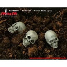 1/35 Human Skulls Set