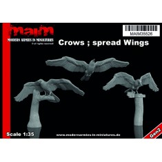 1/35 Crows Spread Wings