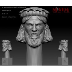 1/35 Iraqi/Taliban/Afghan Character Head Set N #0174 (1pcs)