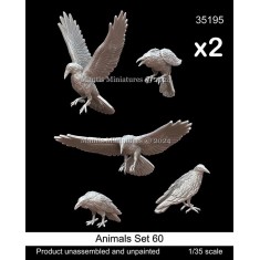 1/35 Birds of Prey Set #60 (Double Set)