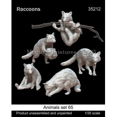 1/35 Raccoons Set #65