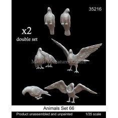 1/35 Birds Set #66 (Double Set)