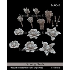 1/35 Growing Vegetables and Garden Plants Diorama Set