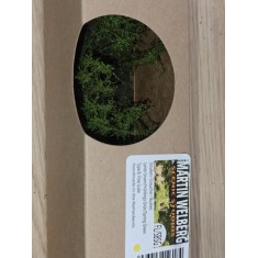 Bushes with Fine Leaves #Spring Green Type B (10pcs, Grass length 20-30mm)