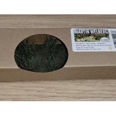 Bushes with Fine Leaves Type D #Olive Green (10pcs, Grass length 40-50mm)