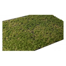 2-2mm Layered Grass Tufts #Later Summer (sheet 210 x 150 mm)