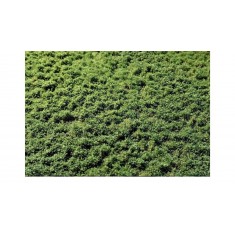 2-2mm Layered Grass Tufts Weeds Mat - Summer (210 x 150 mm)