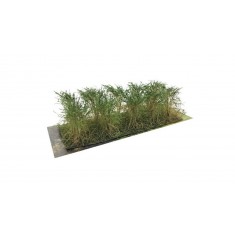 Bushes Fir Green Type B (10pcs, Height 40-50 mm, sheet 180x60 mm)
